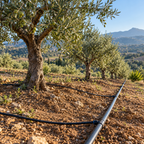 Tubo de riego 16 mm PE negro rollo 400 m para goteo anti-UV